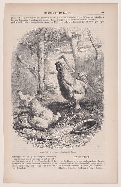 Charles Jacque, Silkie Cock and Hens, from "Le Magasin Pittoresque"
