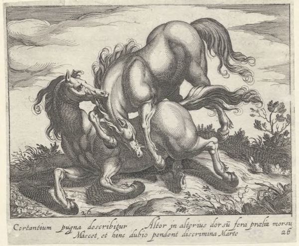 Panderen, Egbert van, (1581-1637?), (printmaker), Horse breeds: Landscape with two fighting horses