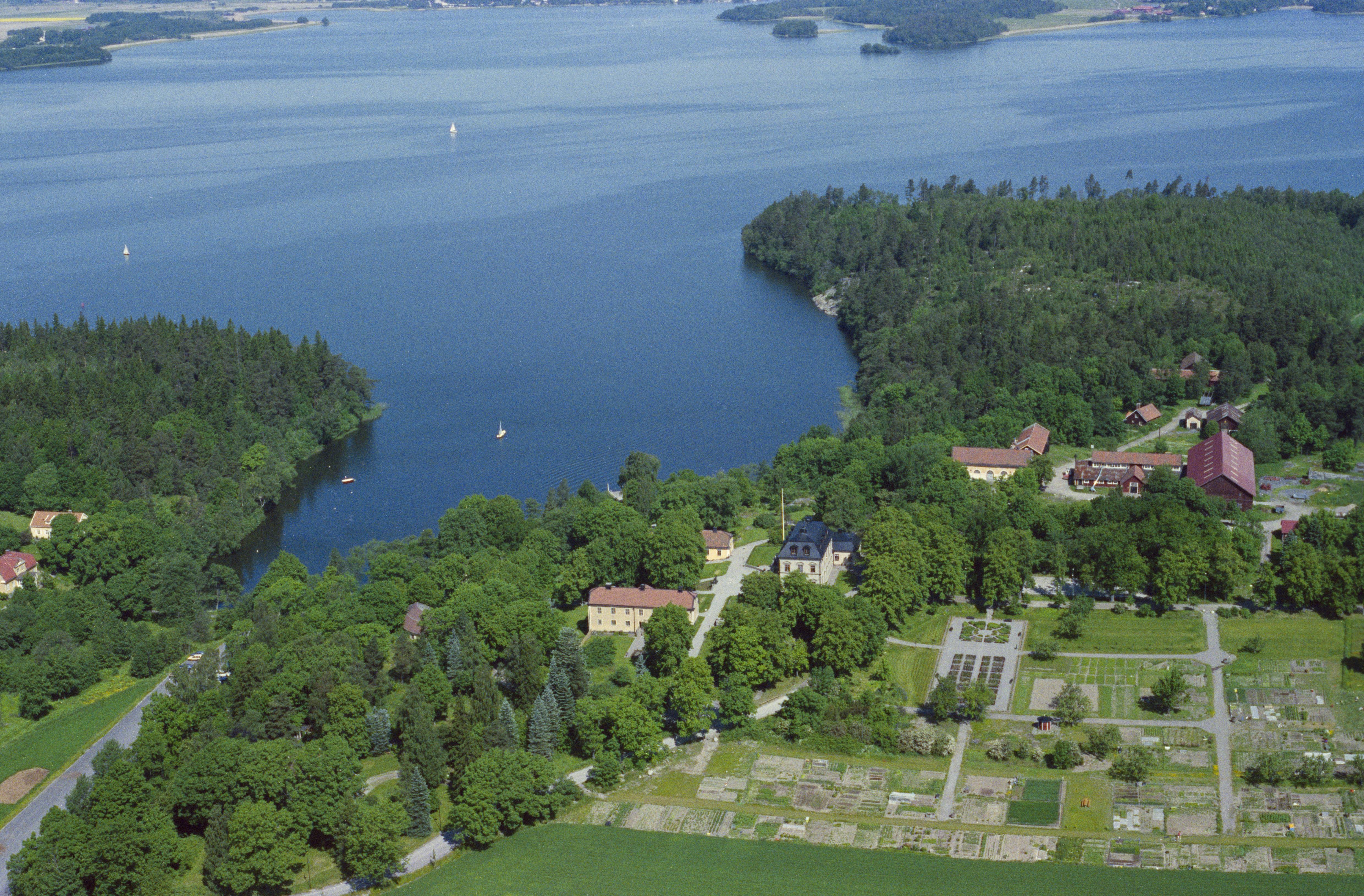 Jan Norrman, Järfälla 386:1