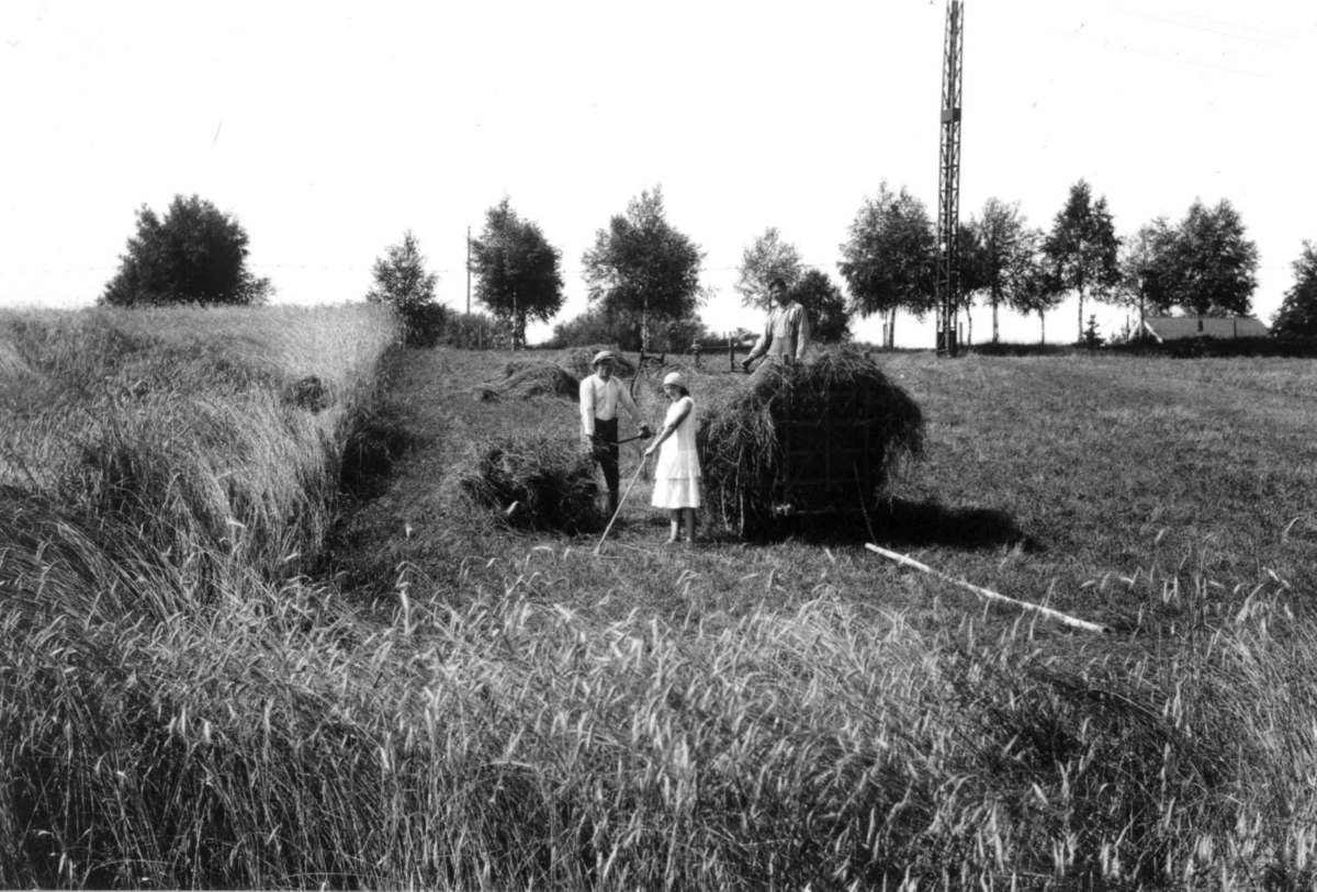 Hermann Christian Neupert, Høying, Østfold. 1930. To menn og en kvinne i gang med høylessing. Jorder.