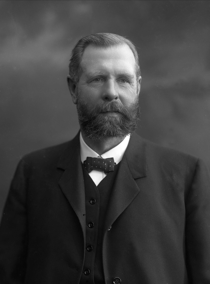 Gustav Borgen, NFB.43912