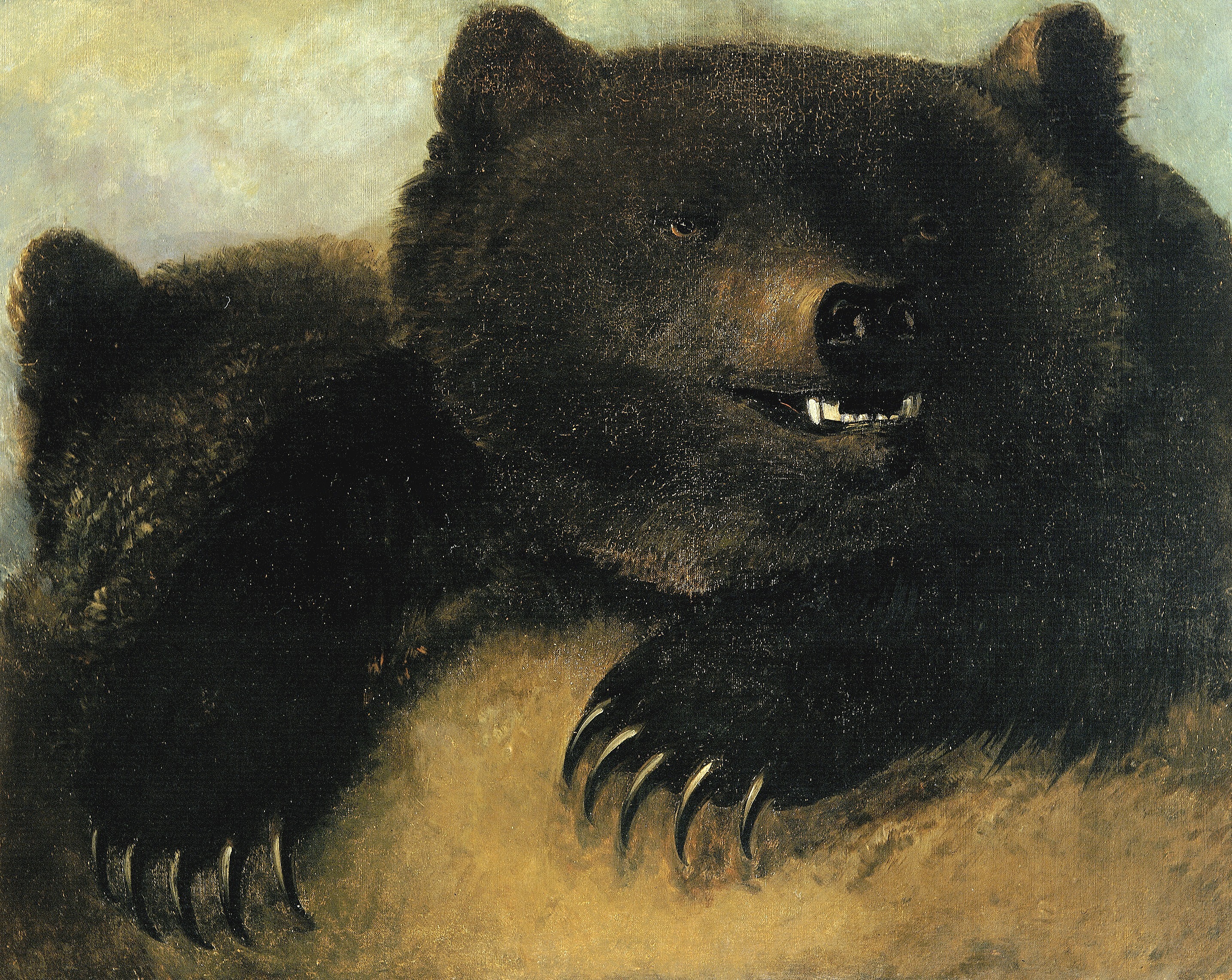 George Catlin, Weapons and Physiognomy of the Grizzly Bear
