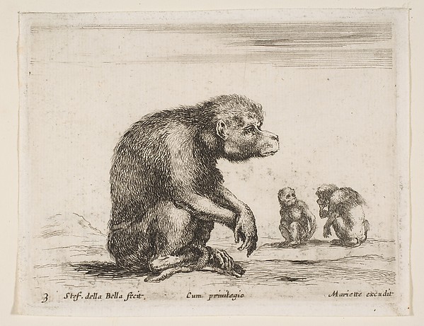 Stefano della Bella, Seated monkey, plate 3 from "Various Animals" (Diversi Animali)
