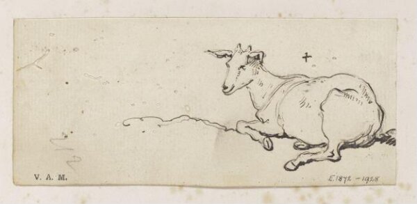 George Chinnery, A young goat