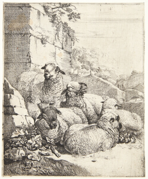 Johann Heinrich Roos, Stående og fire liggende får nær en mur