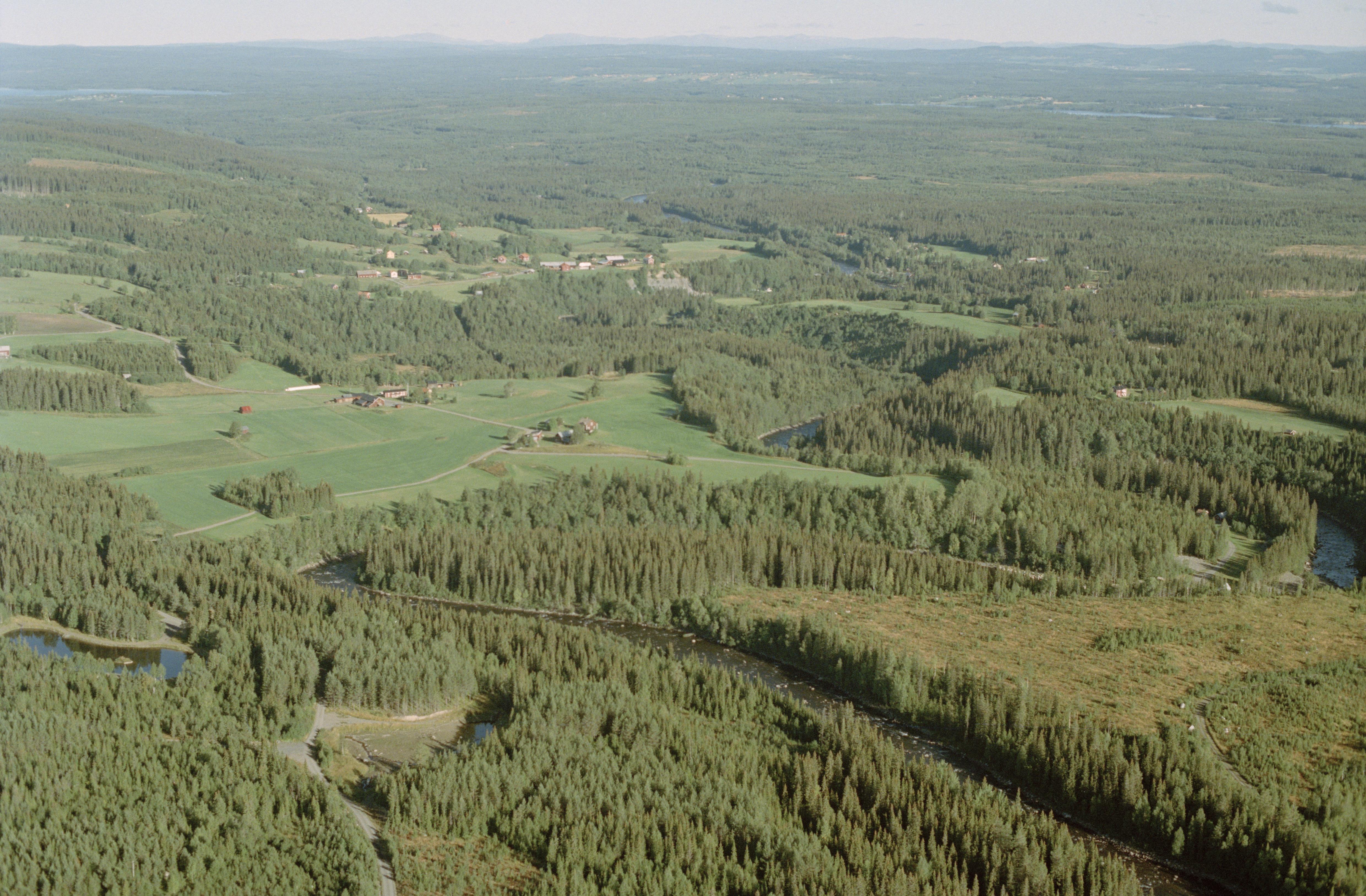 Jan Norrman, Hallen 332
