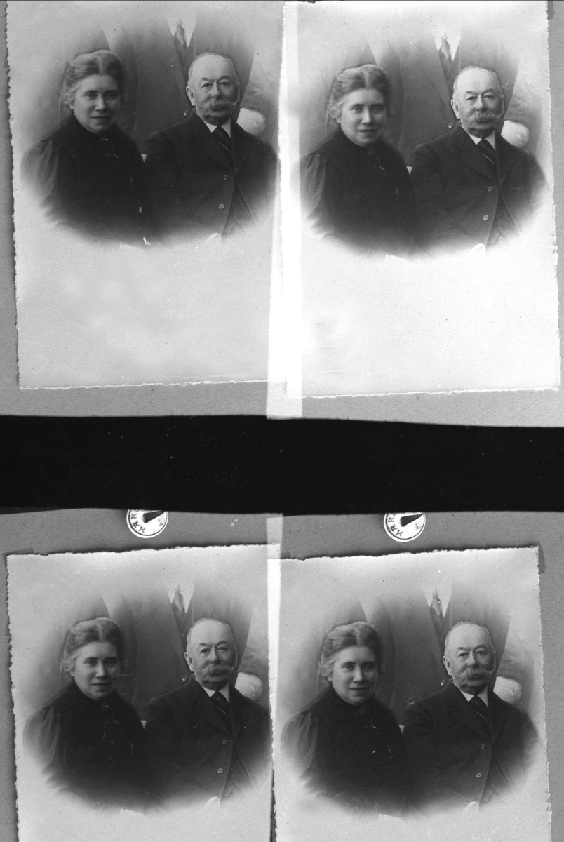 Gustav Borgen, Avfotografering.