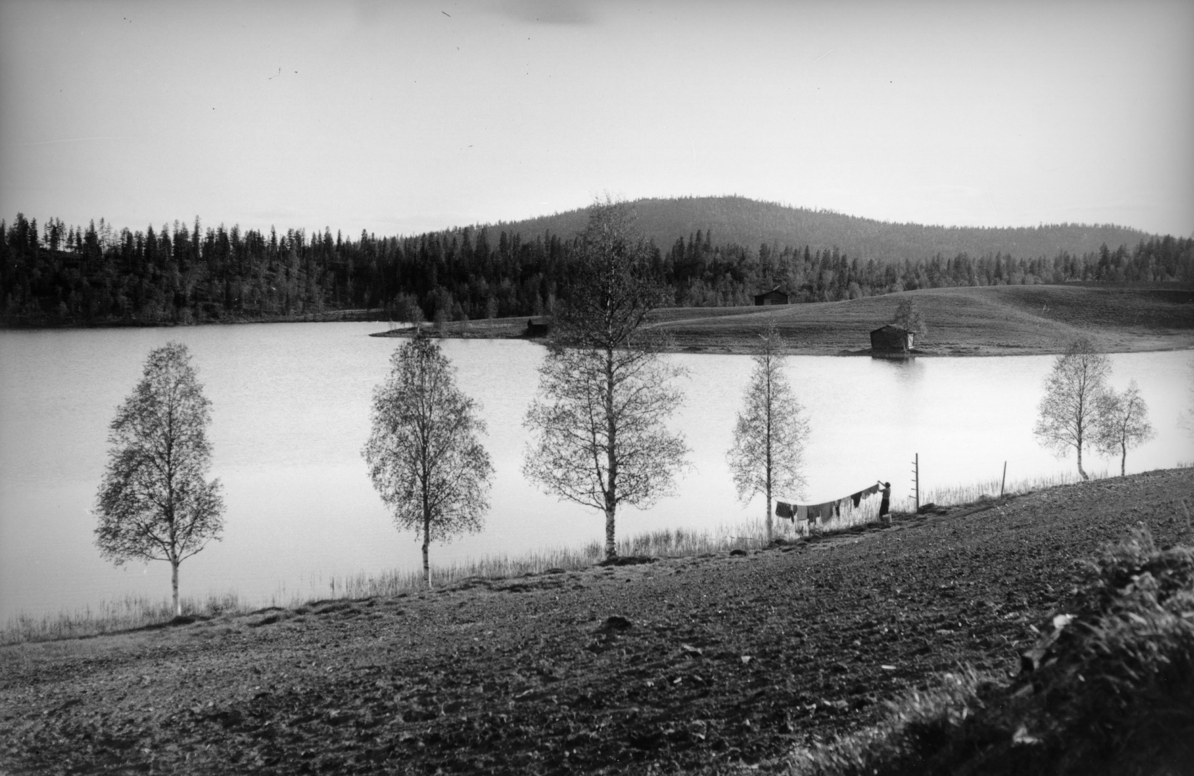 Mårten Sjöbeck, Kåbdalis