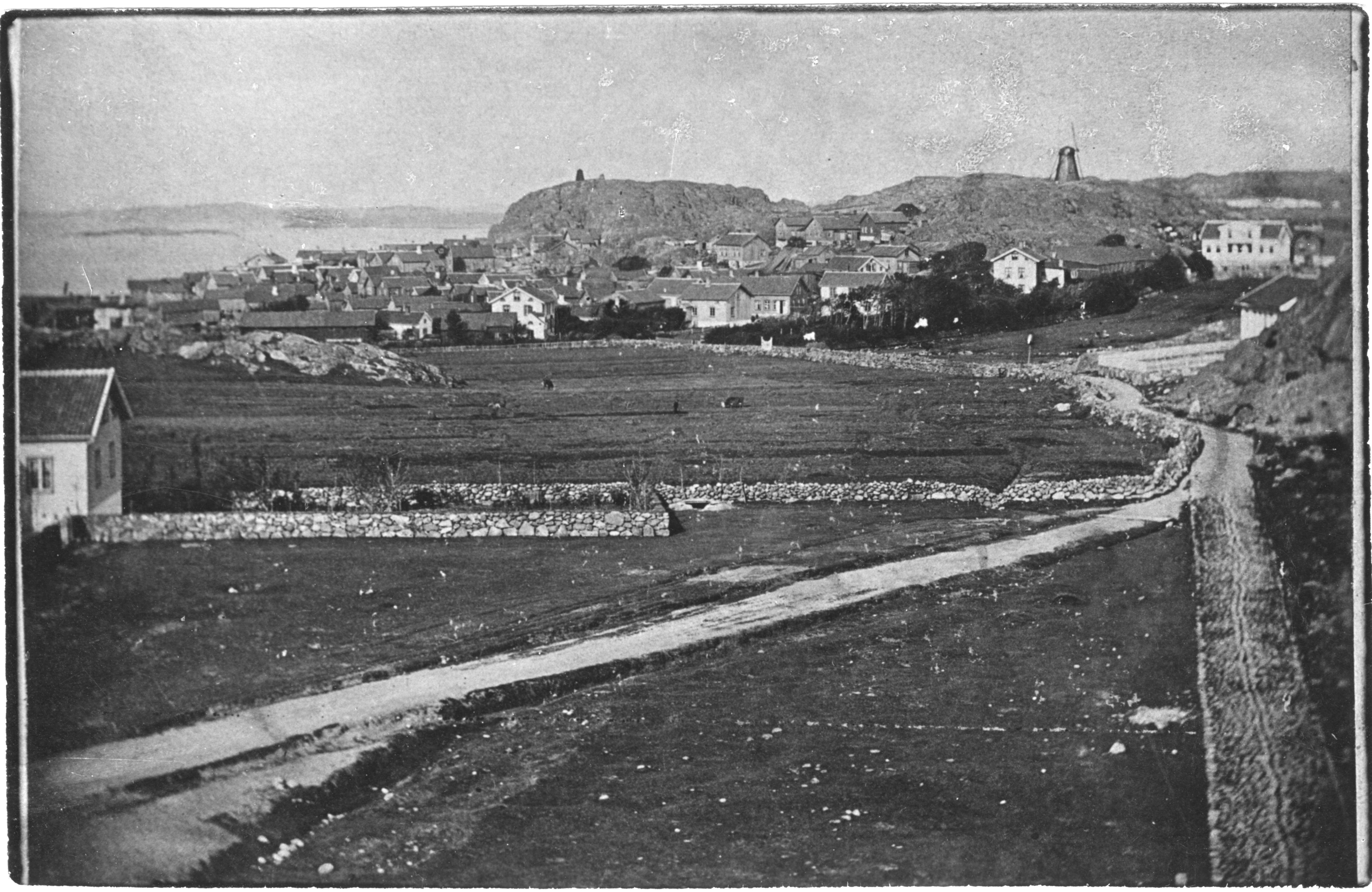 Carl Curman, Lysekil
