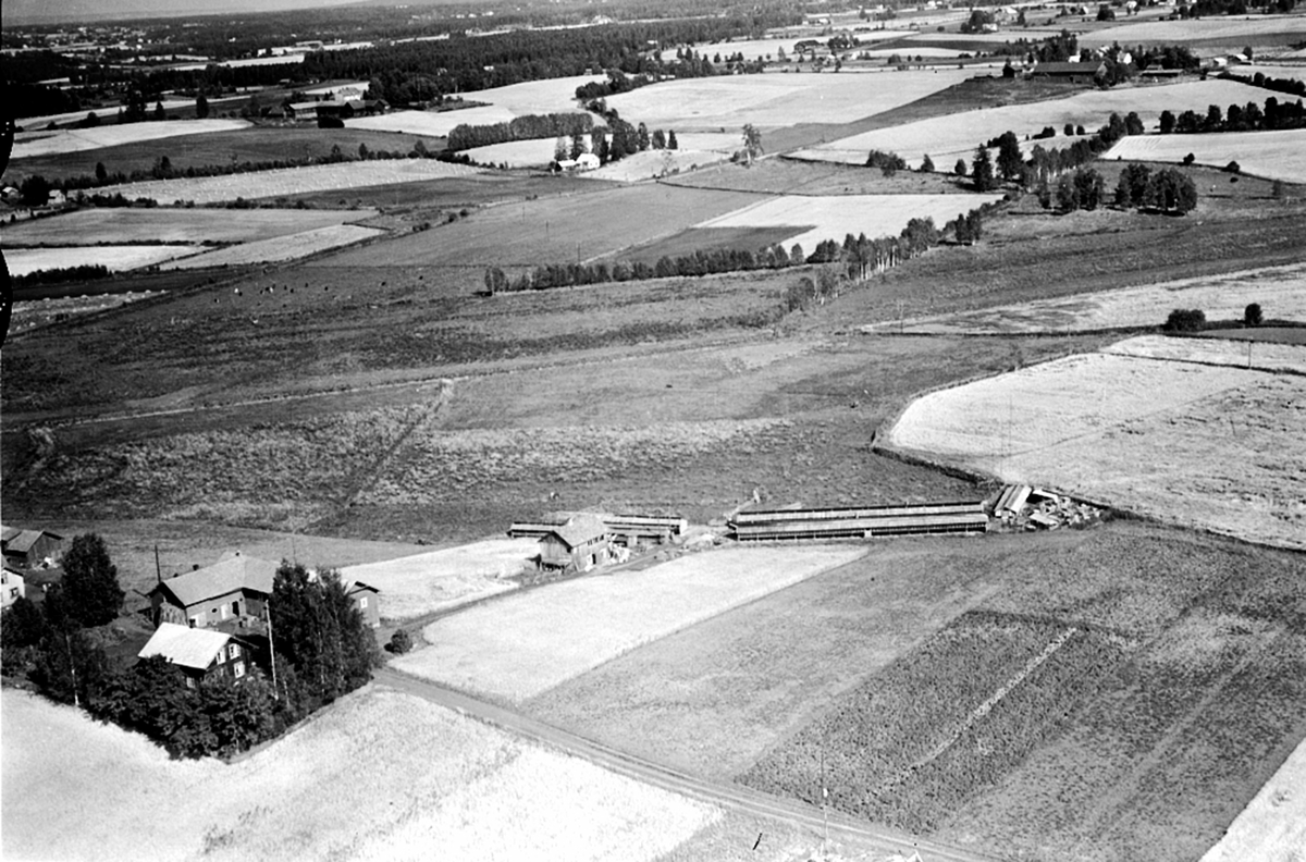 Widerøes Flyveselskap A/S, FLYFOTO TRANHOLEN 248-8, ROMEDAL
