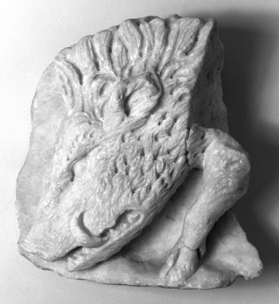 Unknown, Fragment of a Sarcophagus with the Head of a Boar