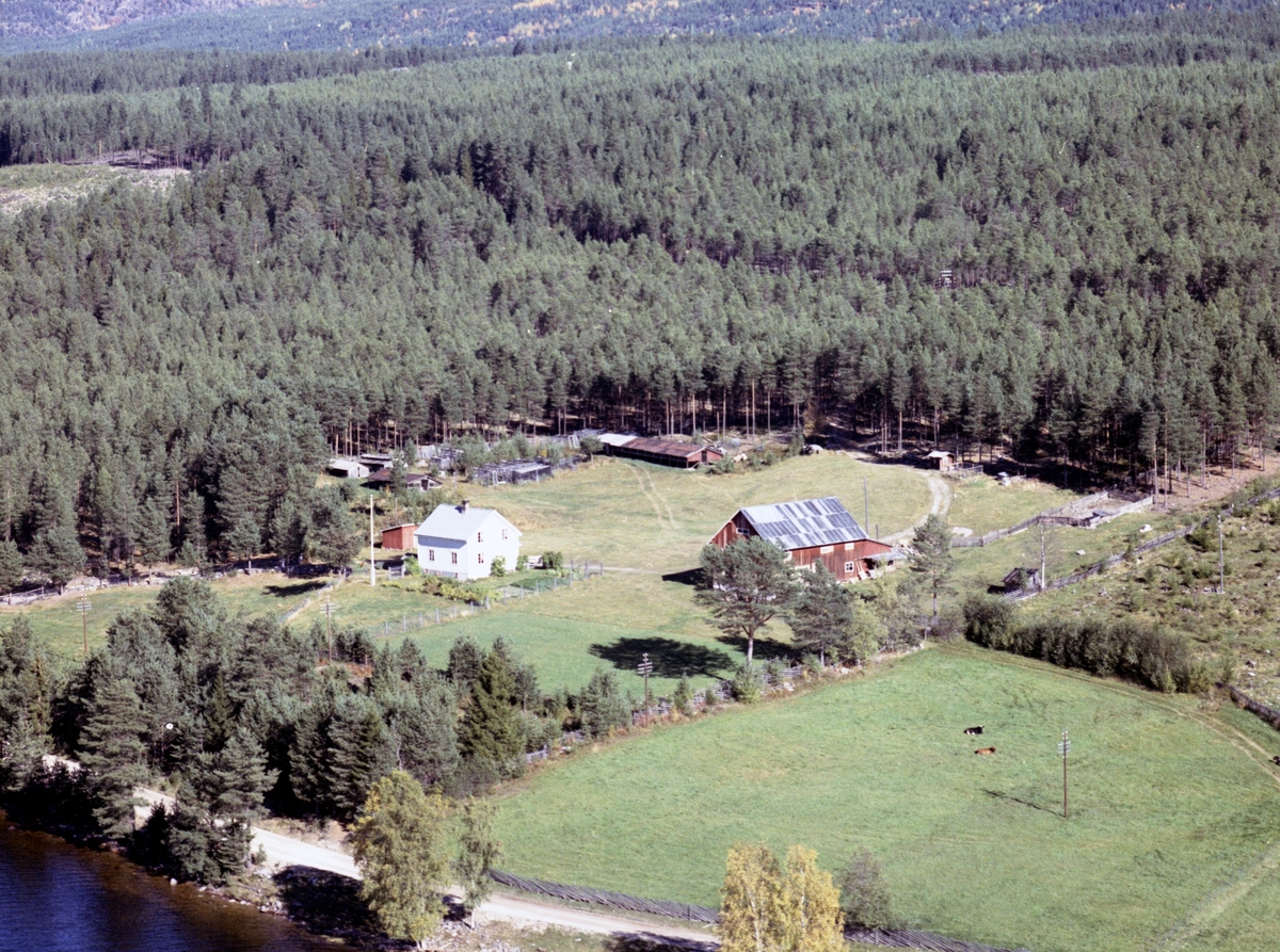 Widerøes Flyveselskap A/S, Gardsbruk