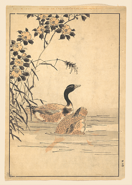 Unidentified artist, A Pair of Geese with Camellias