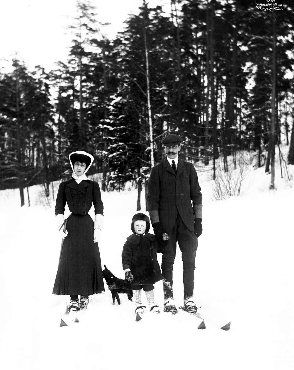 Anders Beer Wilse, Prot: De Kongelige paa Ski staaende 31/1 1907