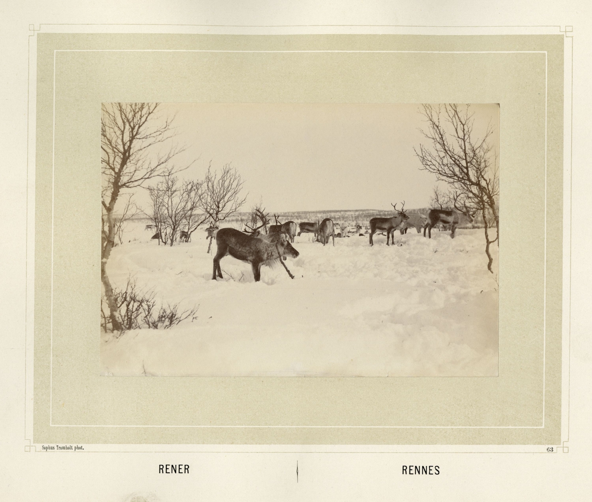 Sophus Tromholt, Billeder fra Lappernes Land/Tableaux du Pays des Lapons