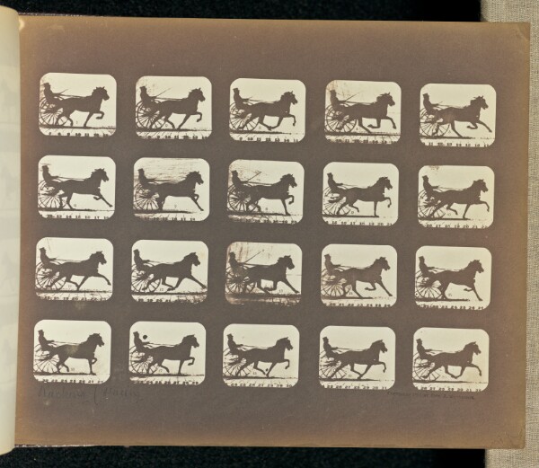 Eadweard J. Muybridge, Racking (Pacing)