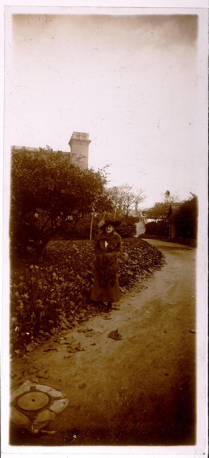 Desconegut, [Retrat d'una dona]