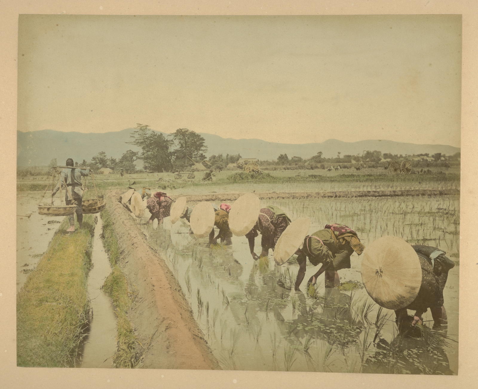 A. Farsari & Co, [Àlbum del Japó]