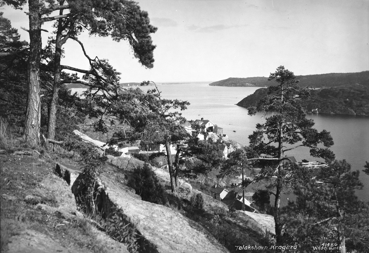Anders Beer Wilse, Prot: Kragerø Tallakshavn