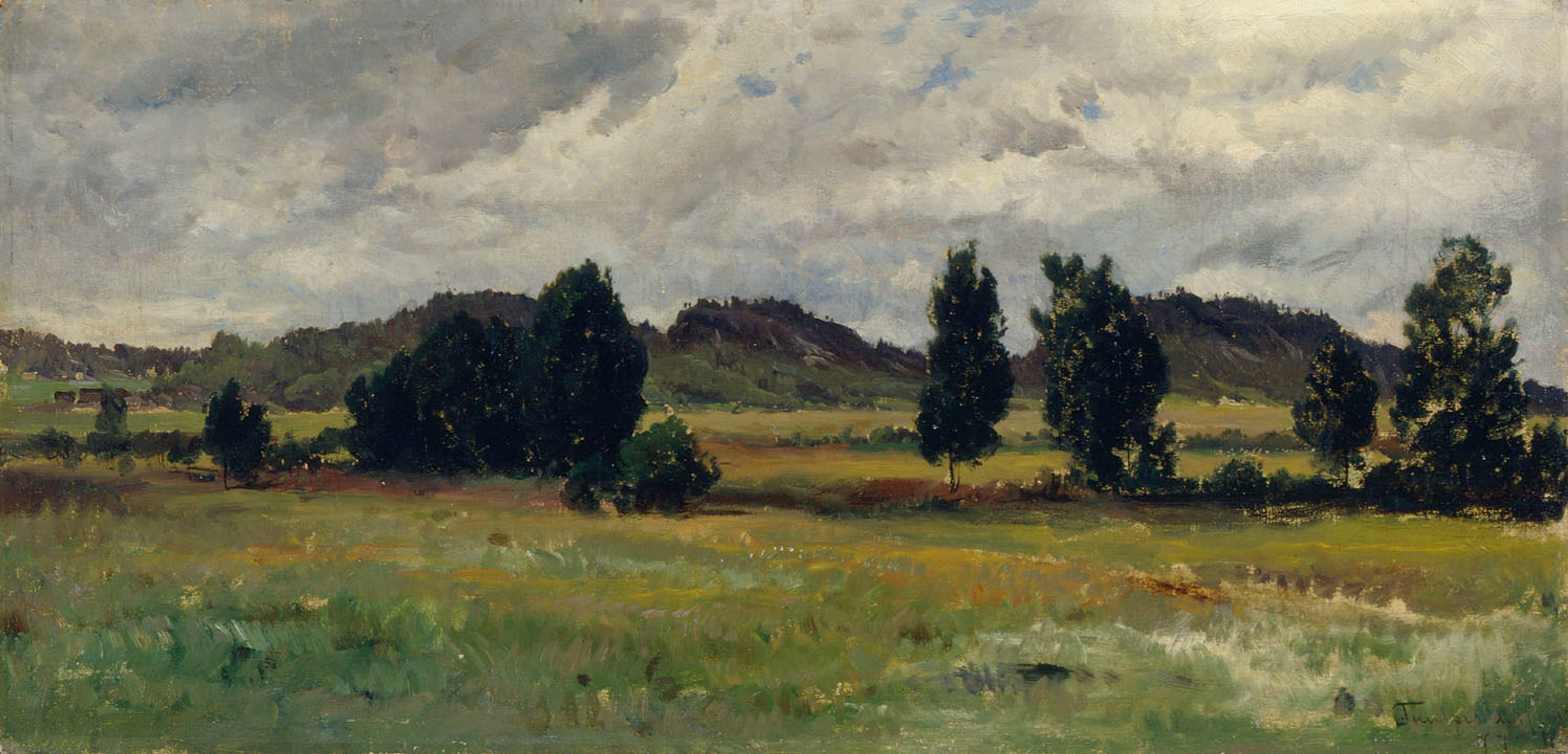 Hjalmar Munsterhjelm, Landscape from Tuulos
