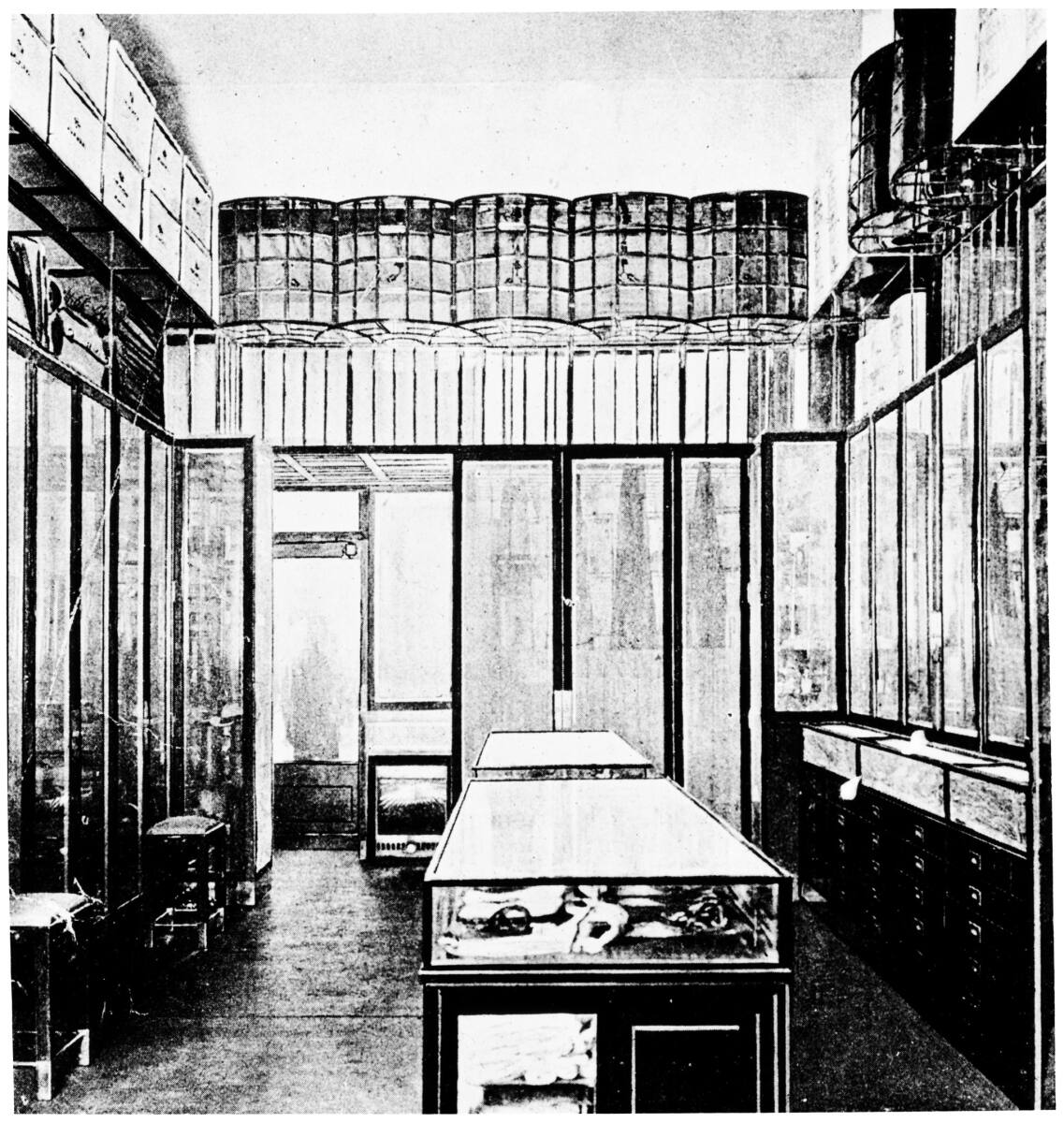 Anonym, Herrenmodesalon Goldman & Salatsch, Wien I., Graben 20, Verkaufsraum Erdgeschoß