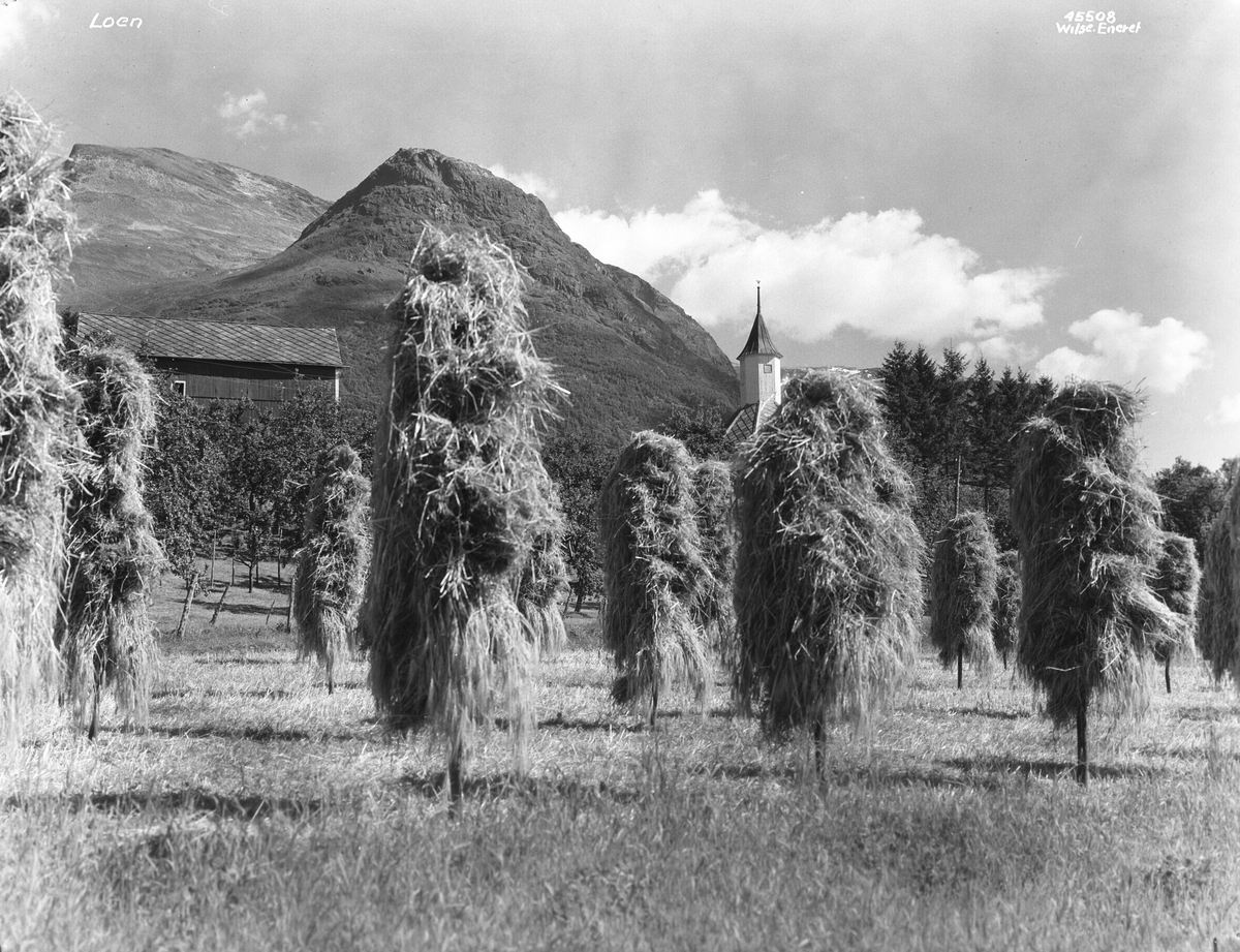Anders Beer Wilse, Prot: Nordfjord, Loen korn paa staur