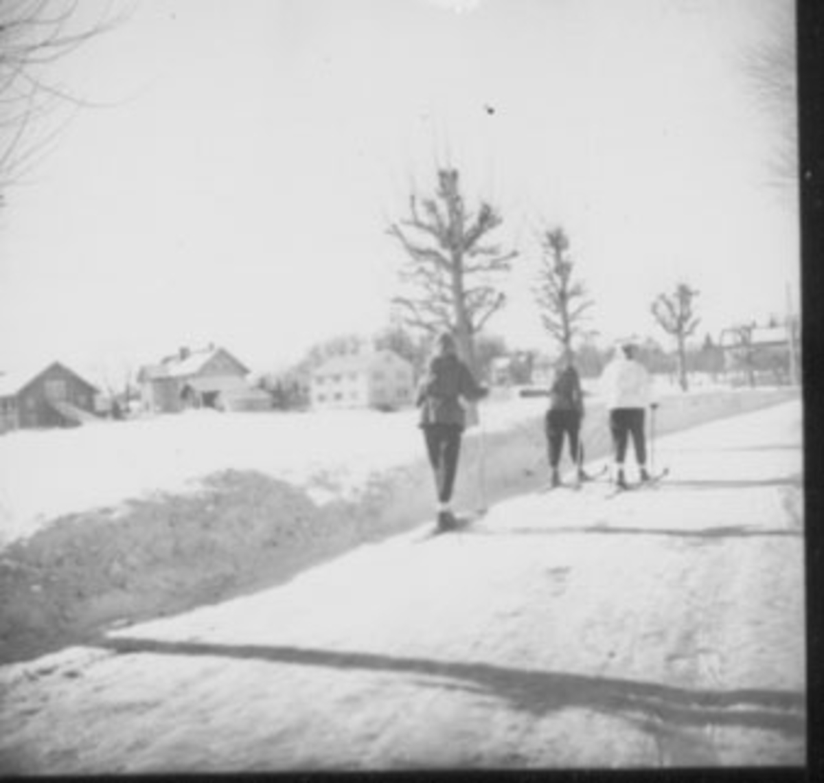 Anno Domkirkeodden, VEG MOT VOLLA, VINTERSØNDAG, 3 JENTER MED STREKKBUKSER PÅ SKI, VINTER, WESTAD, K GÅRD TIL VENSTRE.