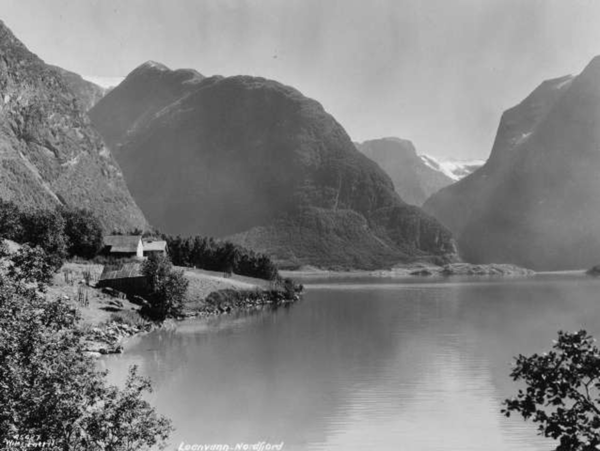 Anders Beer Wilse, -7148
