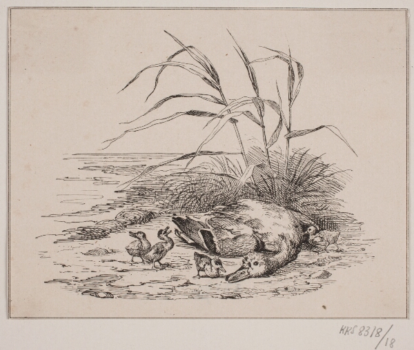 Adolph Kittendorff, Den dræbte and