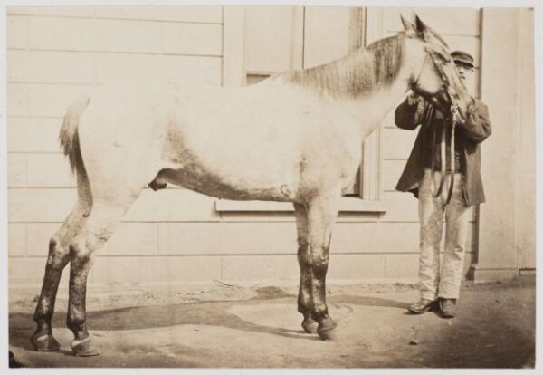 unknown, Photograph