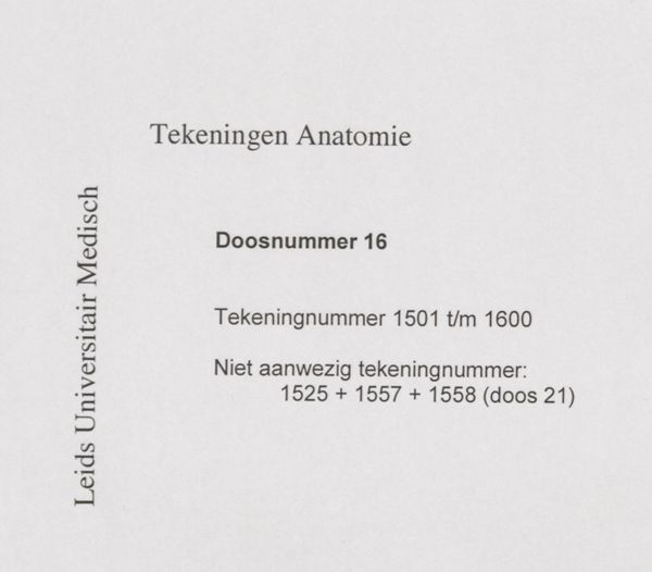 J Tinkelenberg, Heart