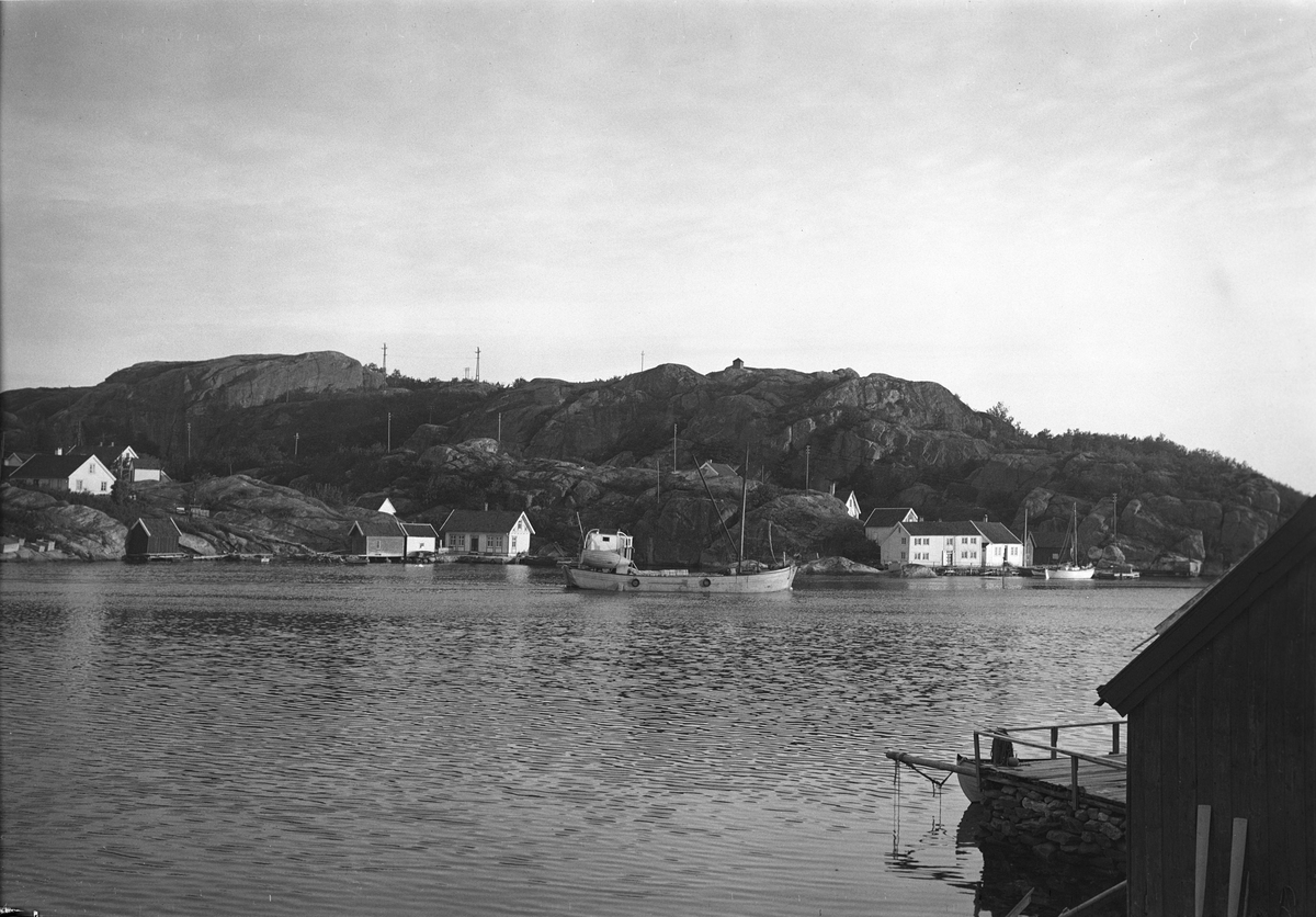 Anders Beer Wilse, Prot: Ny Hellesund tidlig morgen