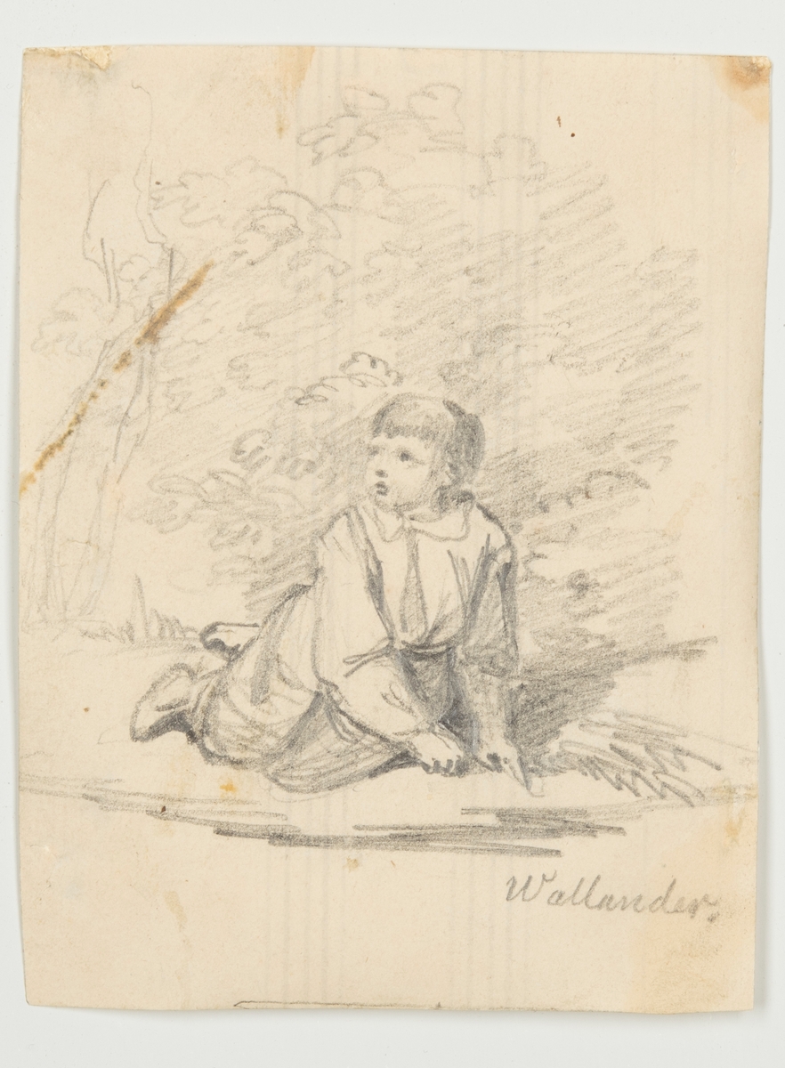 Wilhelm Wallander, Blyertsteckning
