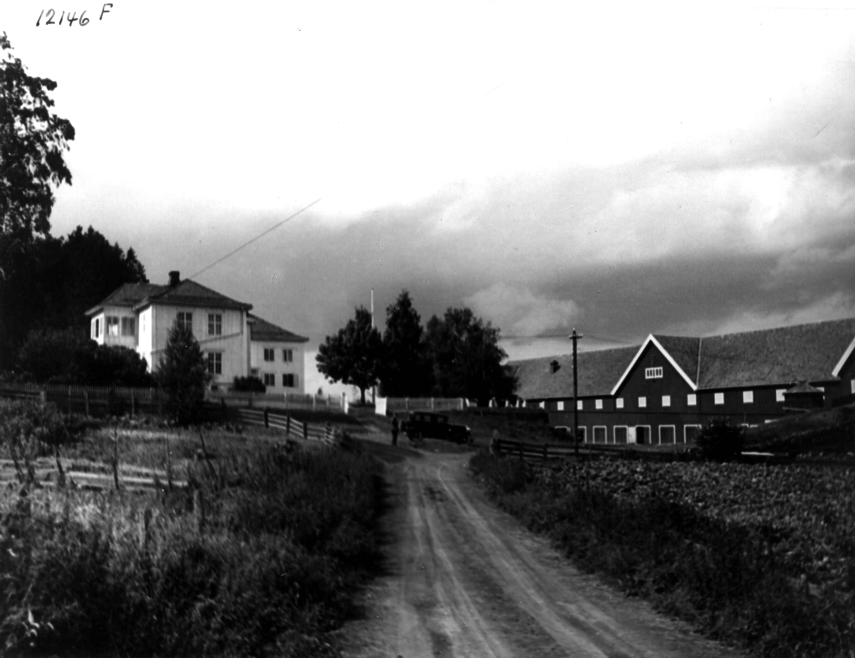 Anders Beer Wilse, Østby gård, Landbruk