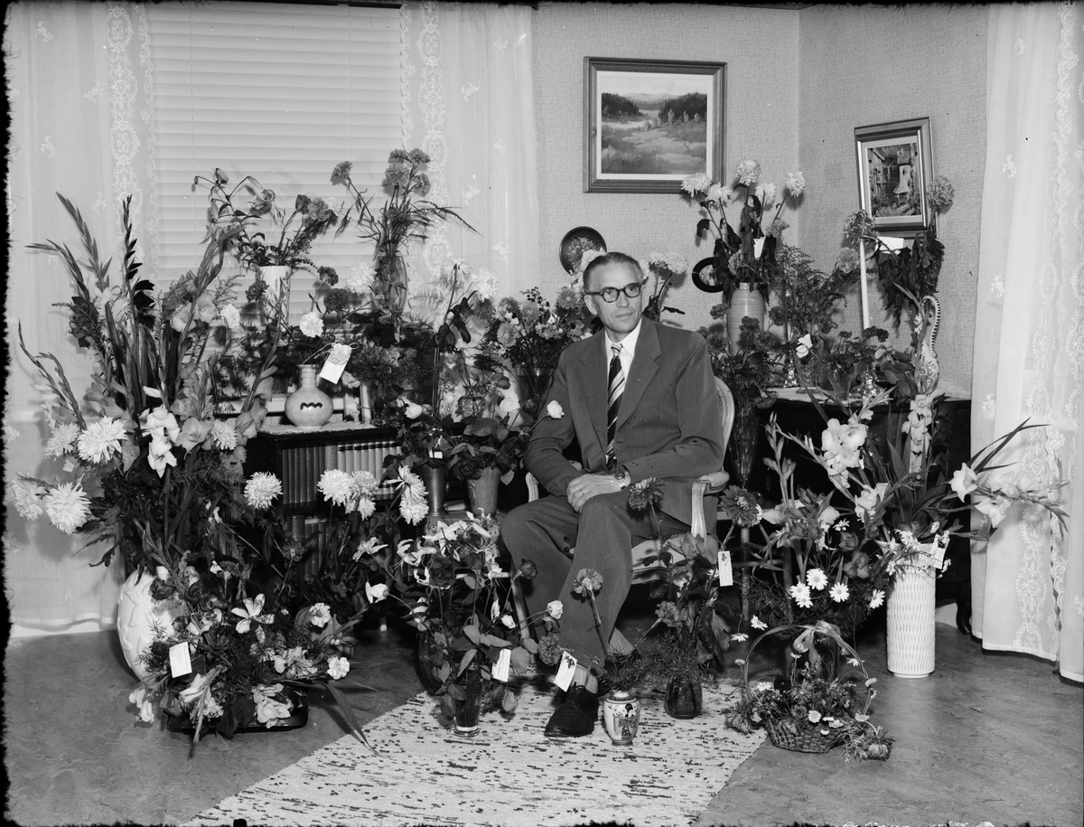 Skötsner-Edhlund, Man surrounded by flowers in a residential environment, Östhammar, Uppland