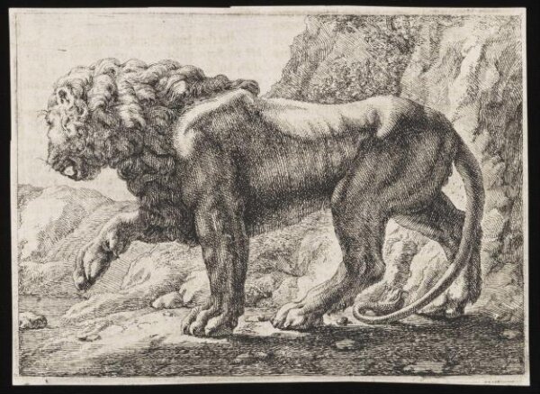 Unknown, Print