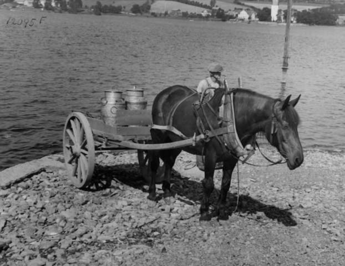 Anders Beer Wilse, -8012