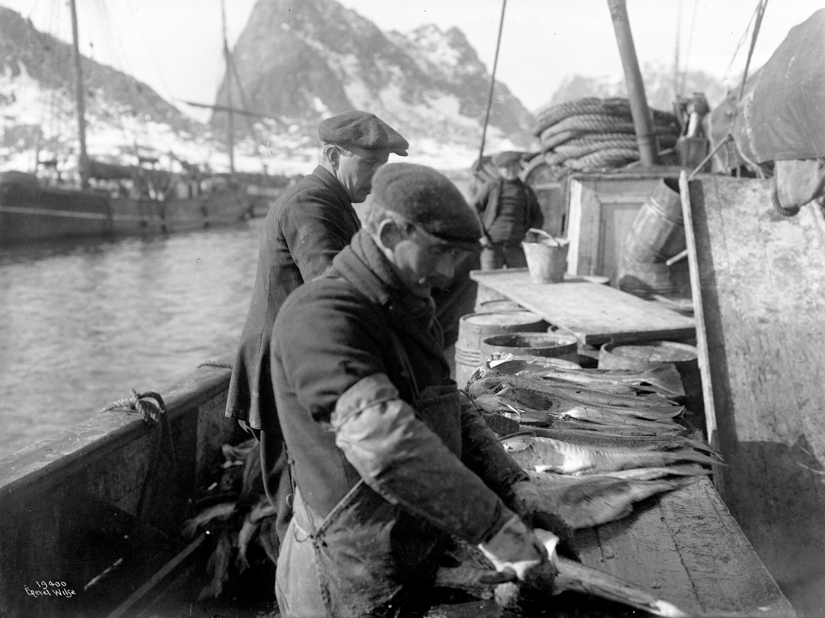 Anders Beer Wilse, Prot: Fisken tilberedes ombord