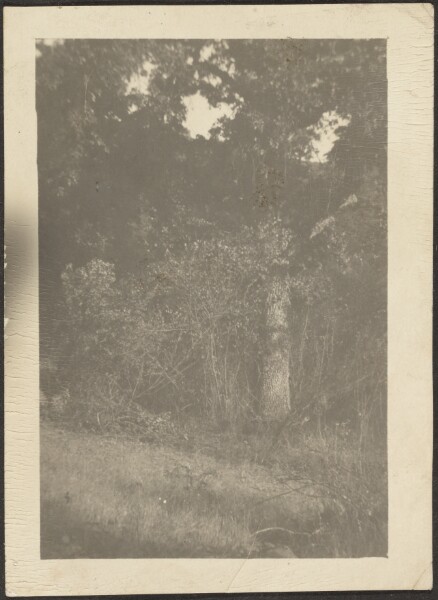 Louis Fleckenstein, [Landscape]