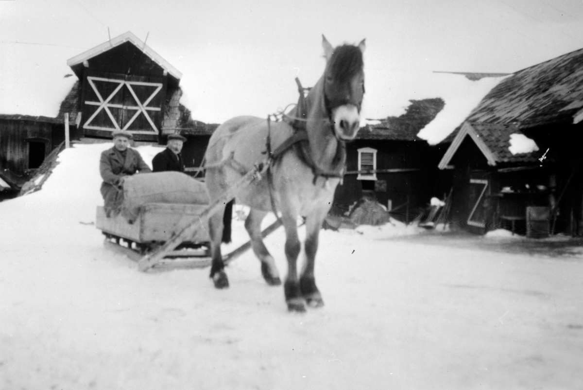 Anno Domkirkeodden, Torgeir Kongsrud (1903-1969) og Gunder Haug med hest og langslede foran låven i Breistu, Gaupen, Hedmark.