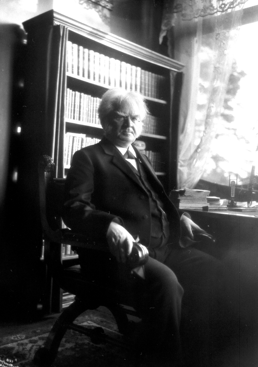 Anders Beer Wilse, Prot: Bjørnstjerne Bjørnson en face 9/12