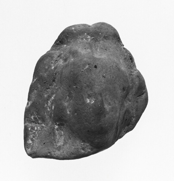 Unknown, Female Head