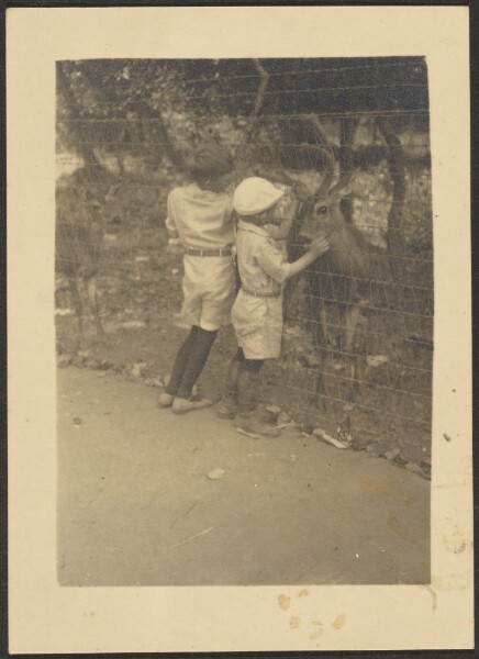 Louis Fleckenstein, [Children by Fence with Deer]