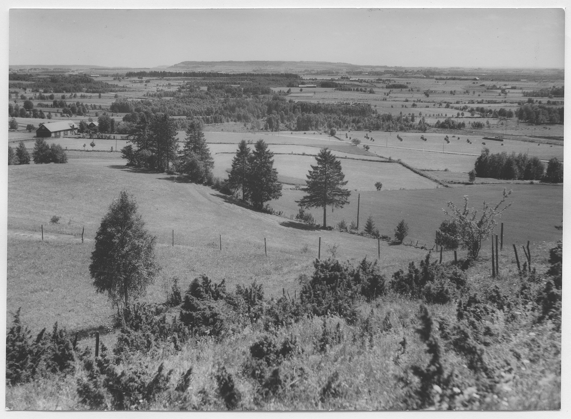 Mårten Sjöbeck, Odensberg
