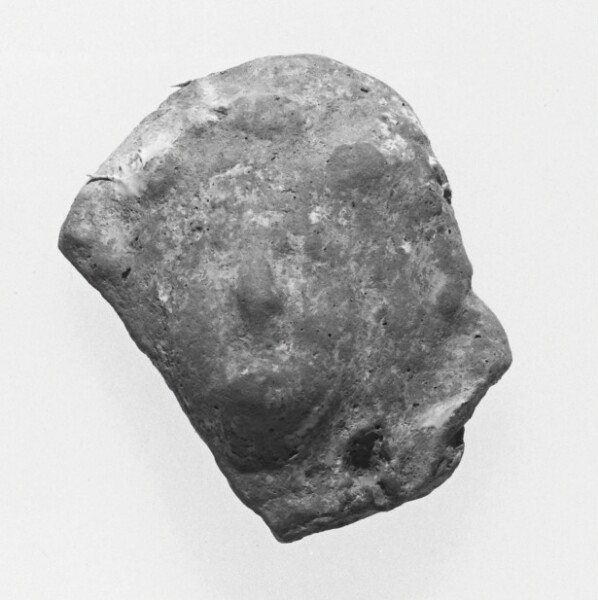 Unknown, Female Head