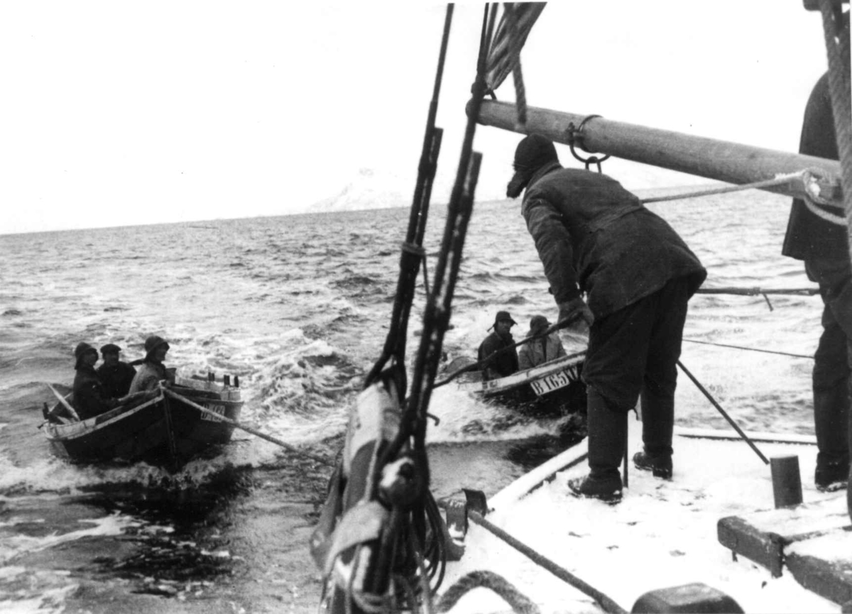 Anders Beer Wilse, Lofotfiske