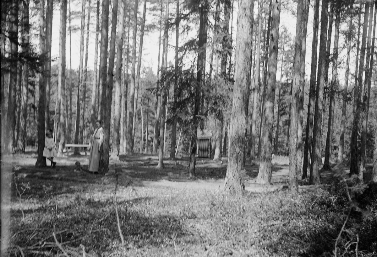 Okänd,, Sannolikt Christiane och Marit Liljefors i skogen vid Svensgården, Dalarna