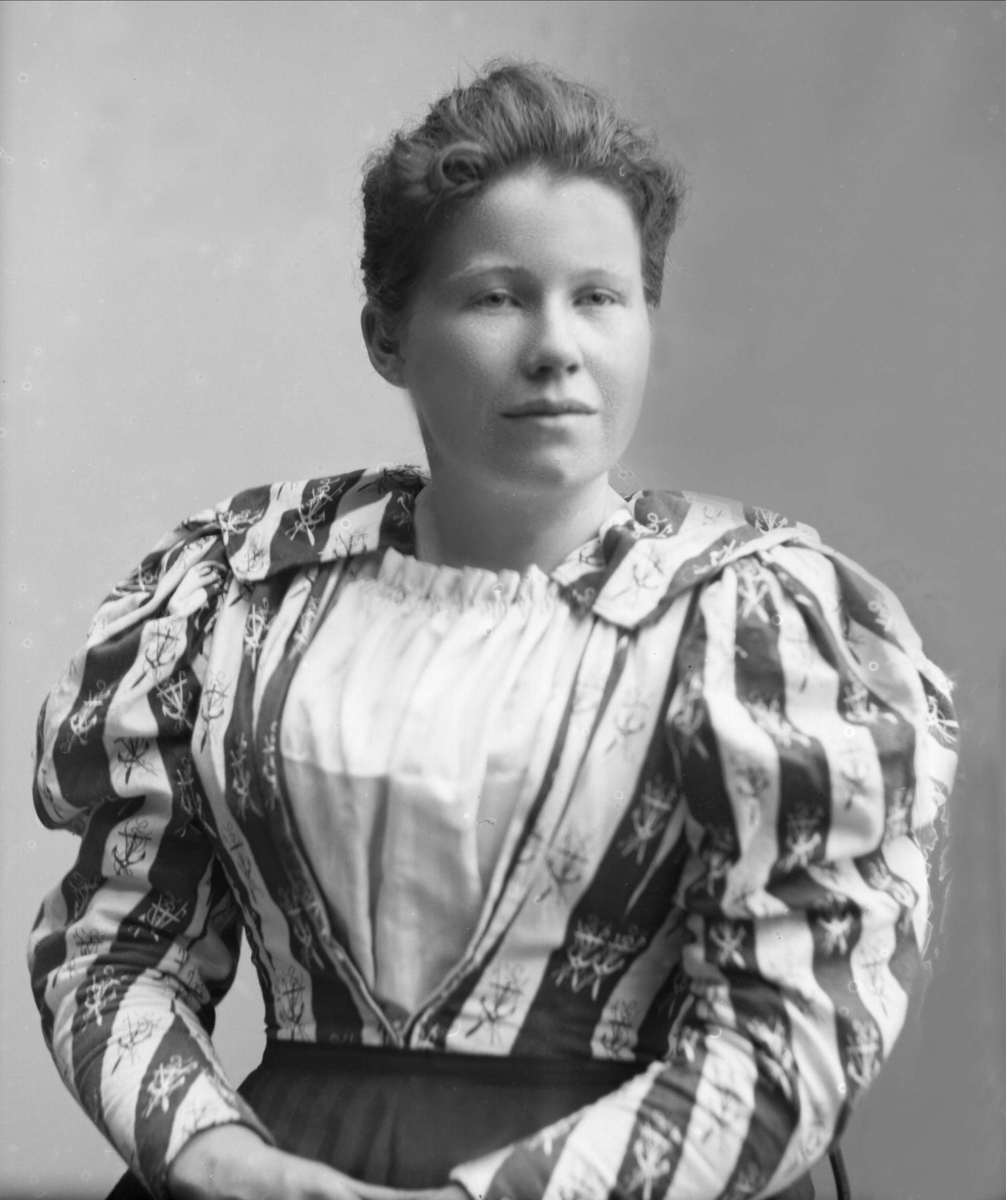 Gustav Borgen, NFB.31281