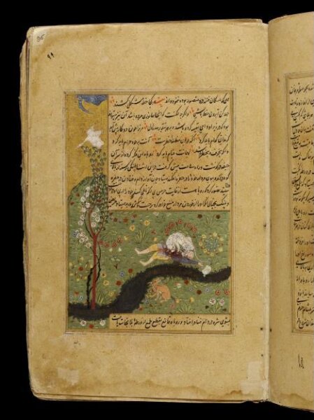 Unknown, Anvar-i Suhayli