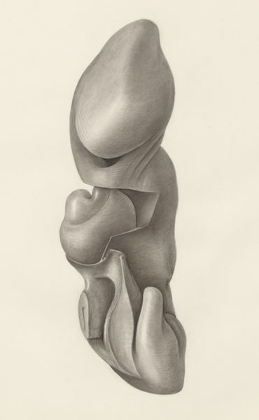 H.G Wetselaar, Human embryo